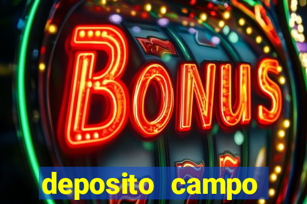 deposito campo grande santos